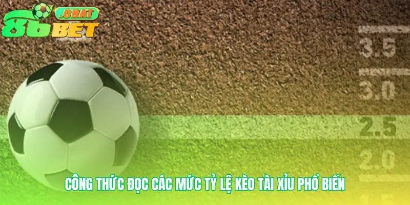 Chuyển hóa các con số thành lợi thế
